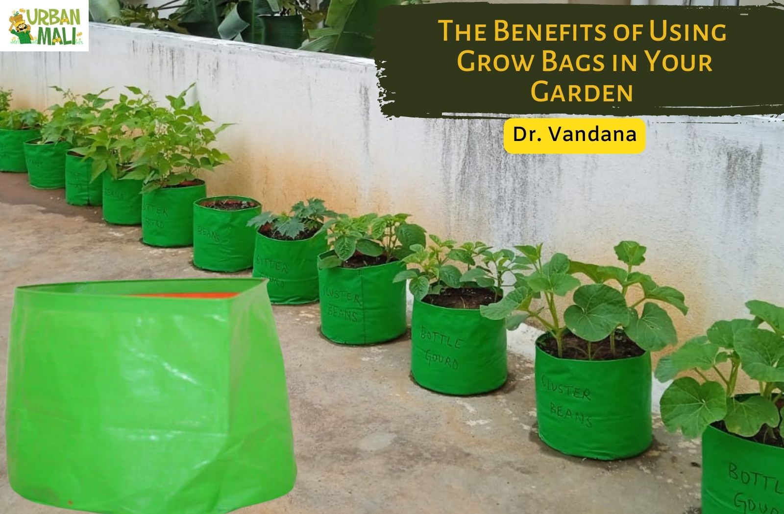 The Benefits of Using Grow Bags in Your Garden – UrbanMali