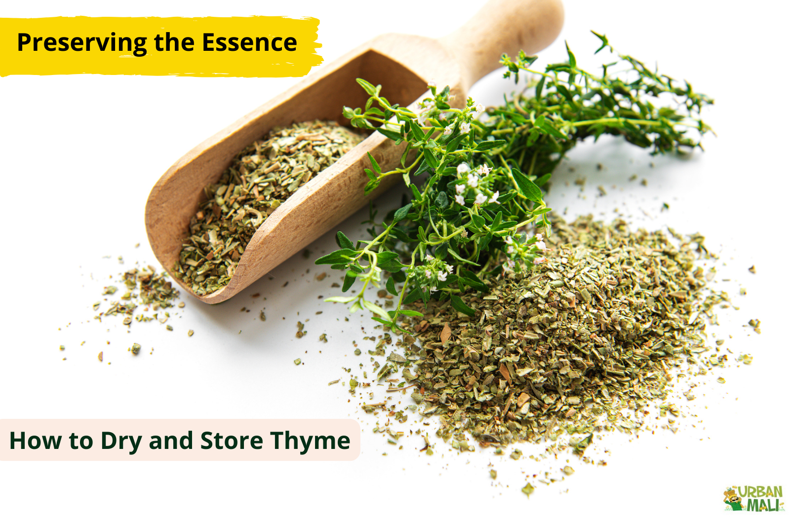 Preserving the Essence: How to Dry and Store Thyme