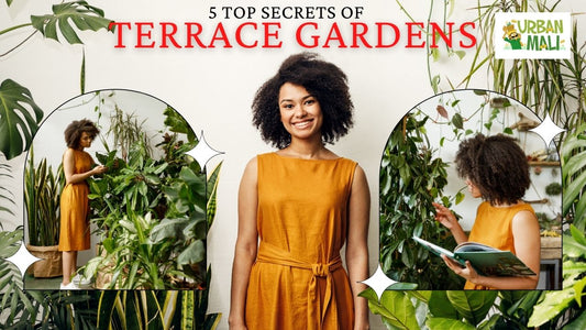 5 Top Secrets of Terrace Gardens