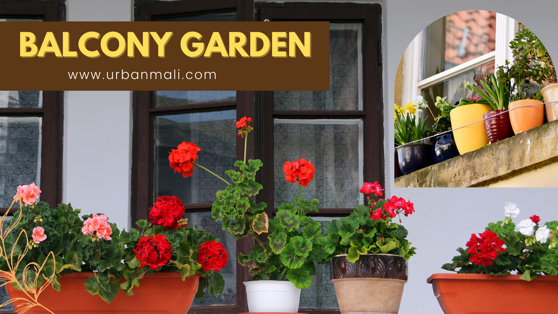 Balcony Gardener