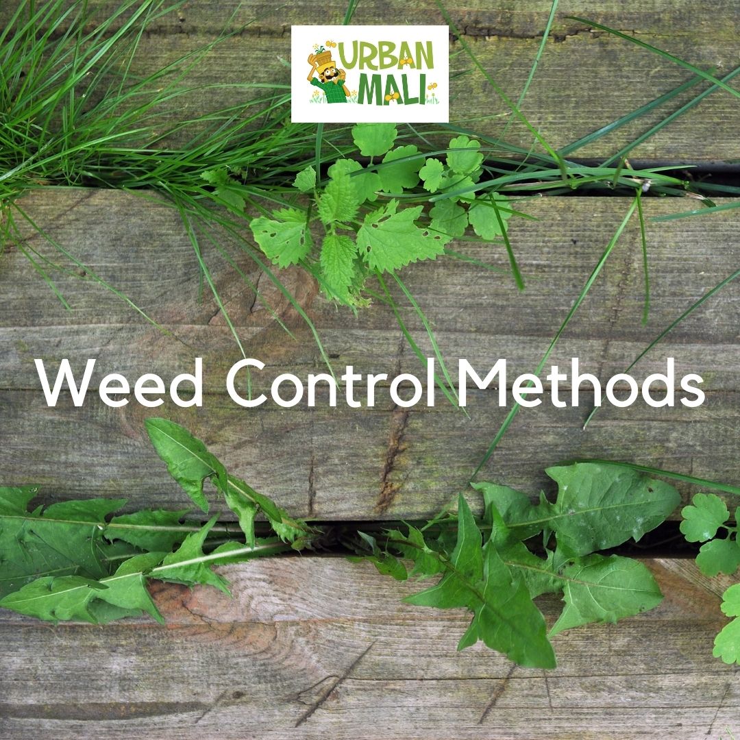 Weed control Methods