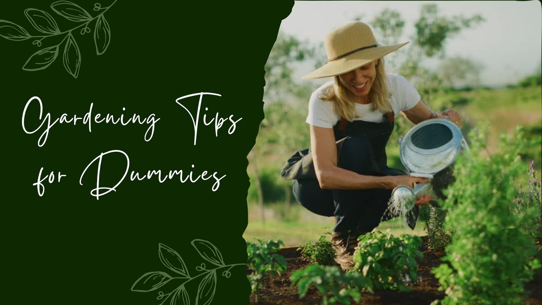 How to Garden: Gardening Tips for Dummies