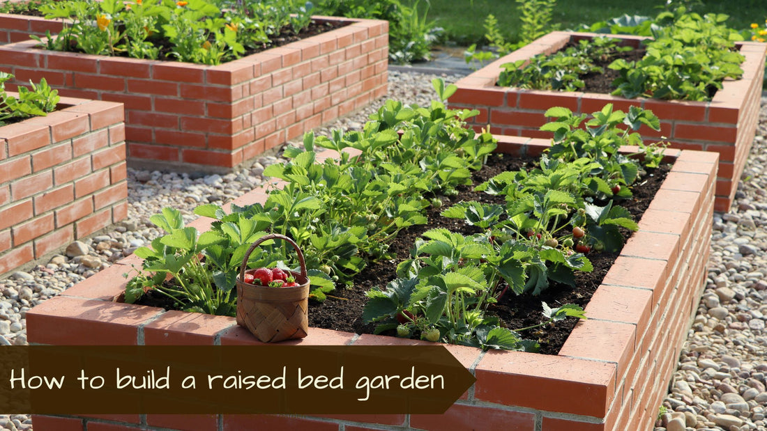 How to build a raised bed garden