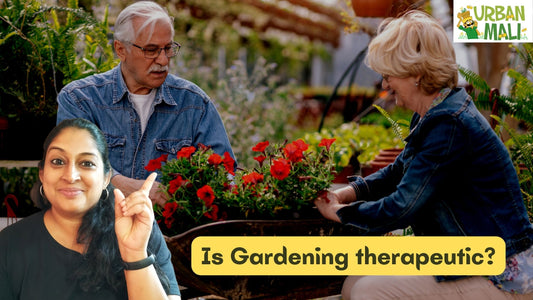 Is Gardening therapeutic?