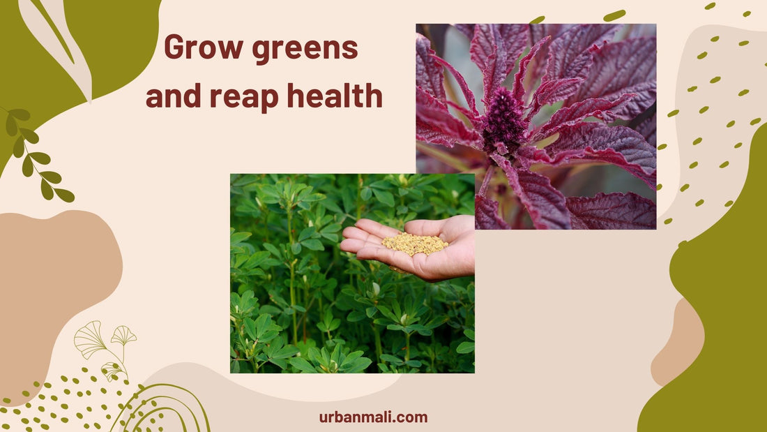 Grow greens and reap health