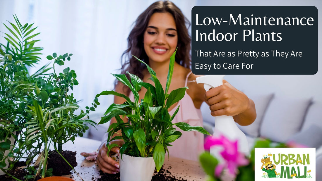 Low-Maintenance Indoor Plants That Are as Pretty as They Are Easy to Care For
