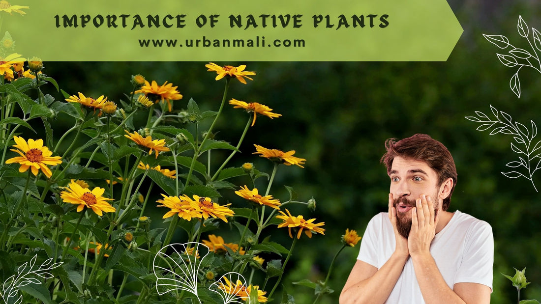 Importance of Native Plants