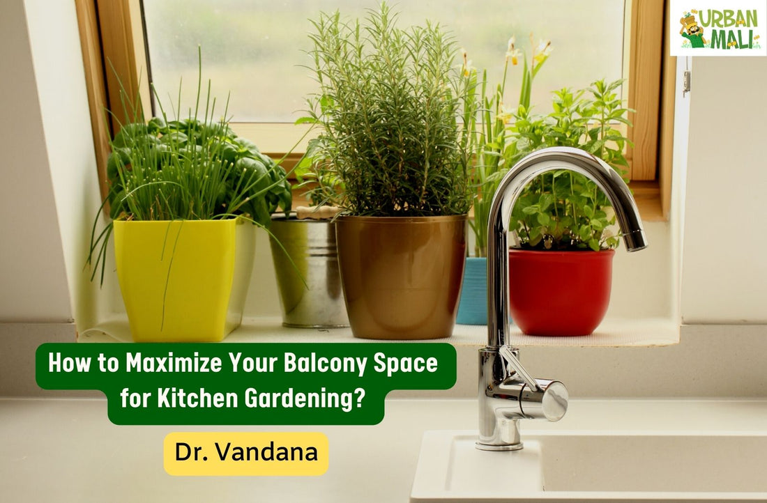 How to Maximize Your Balcony Space for Kitchen Gardening?