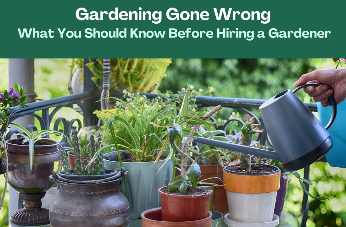 Gardening Gone Wrong: What You Should Know Before Hiring a Gardener