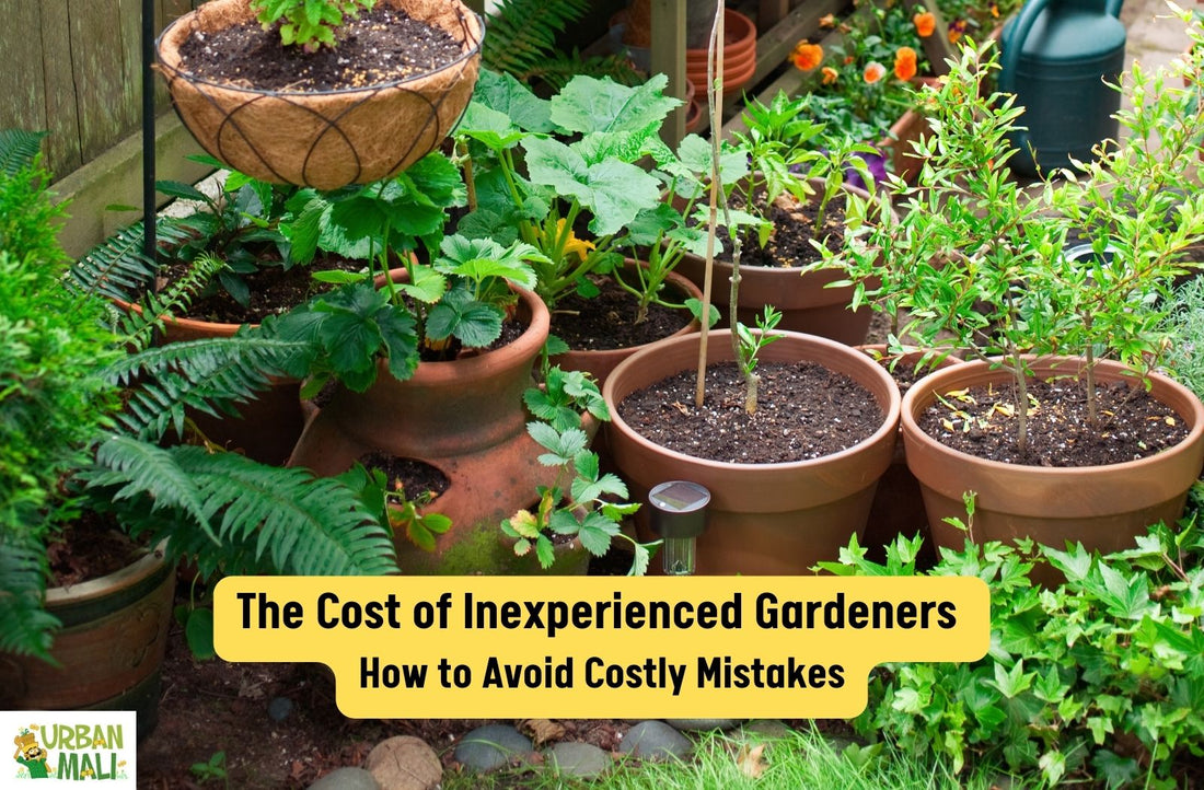 The Cost of Inexperienced Gardeners: How to Avoid Costly Mistakes