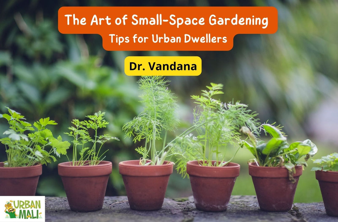 The Art of Small-Space Gardening: Tips for Urban Dwellers