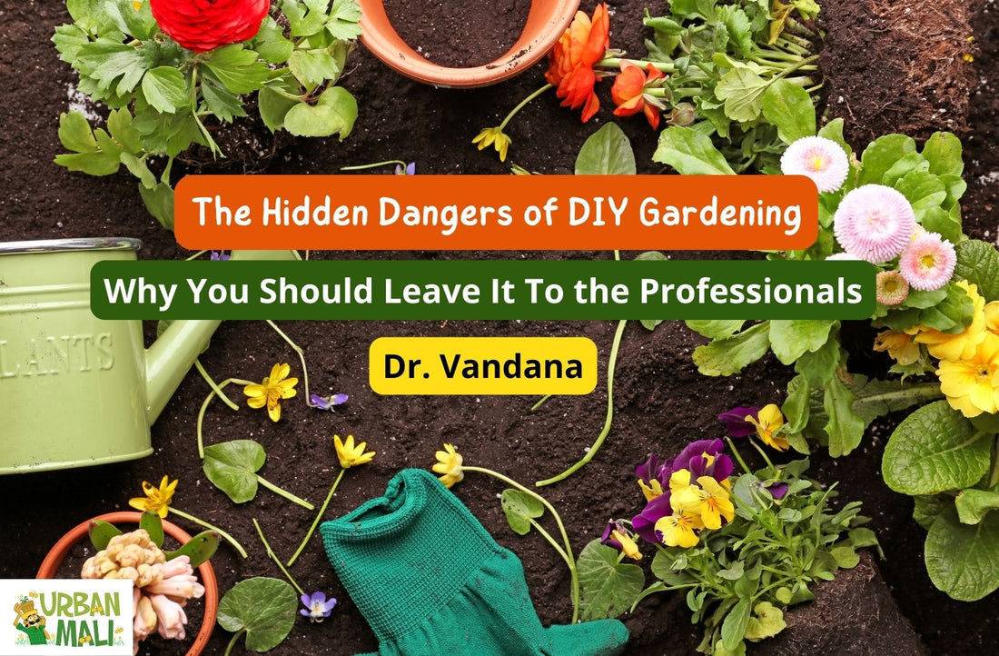 The Hidden Dangers of DIY Gardening: Why You Should Leave It To the Professionals