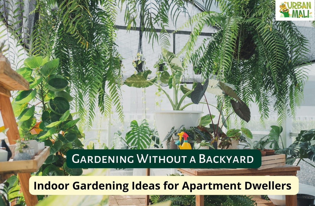 Gardening Without a Backyard: Indoor Gardening Ideas for Apartment Dwellers