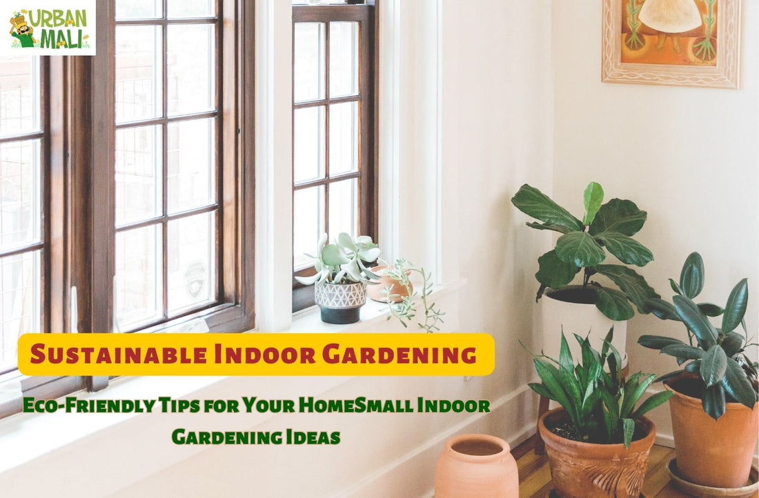 Sustainable Indoor Gardening: Eco-Friendly Tips for Your Home