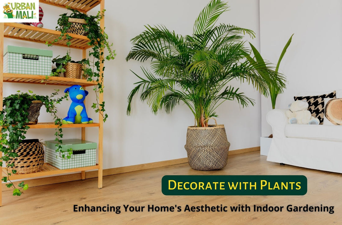 Decorate with Plants: Enhancing Your Home's Aesthetic with Indoor Gardening