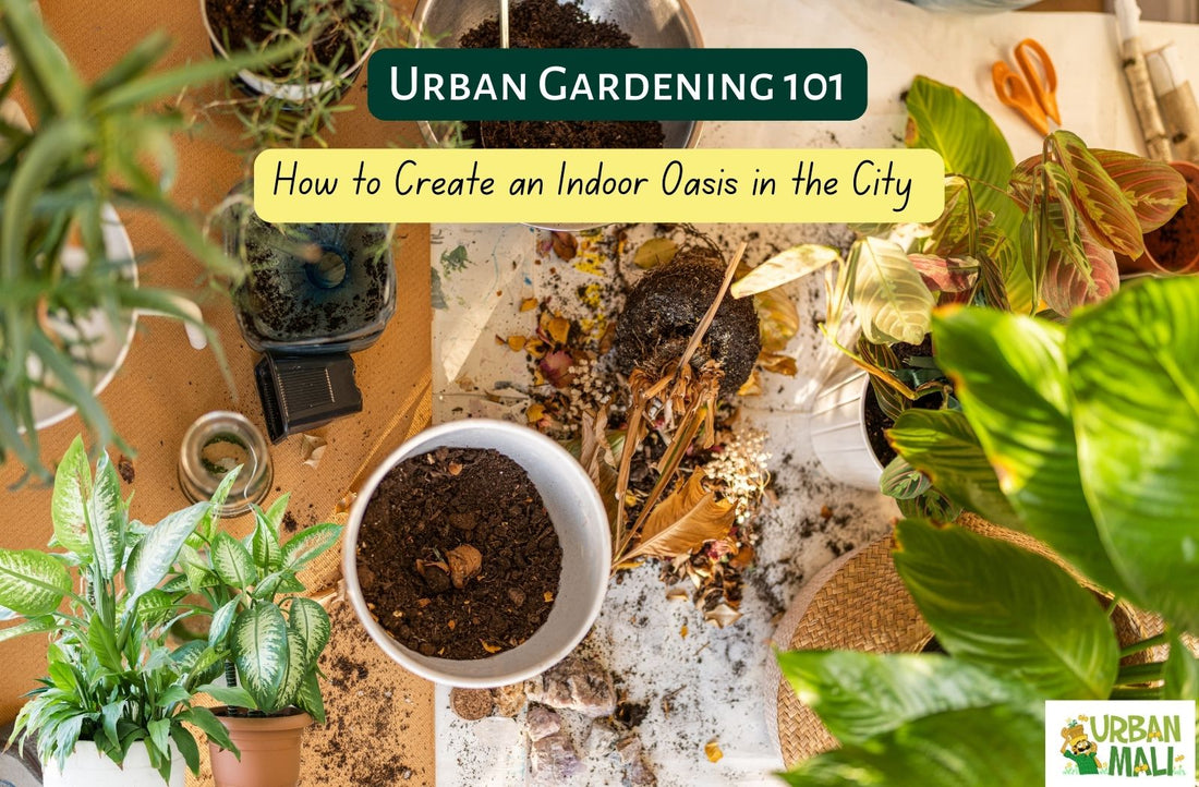 Urban Gardening 101: How to Create an Indoor Oasis in the City