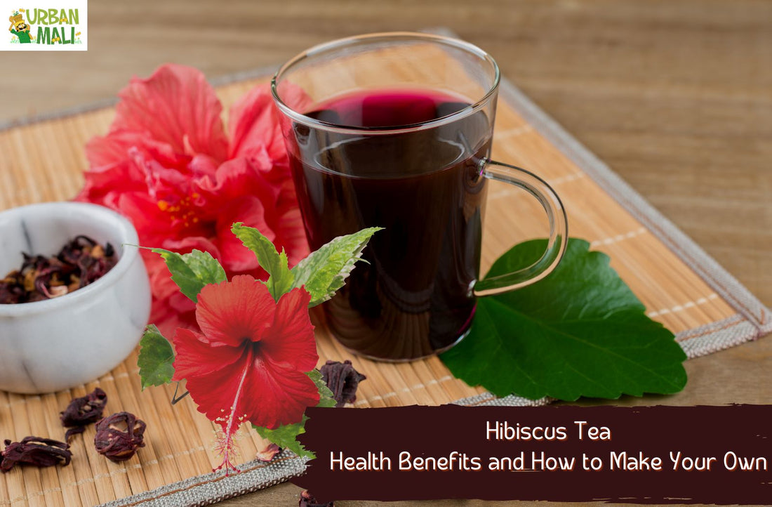 Hibiscus Tea: Health Benefits and How to Make Your Own
