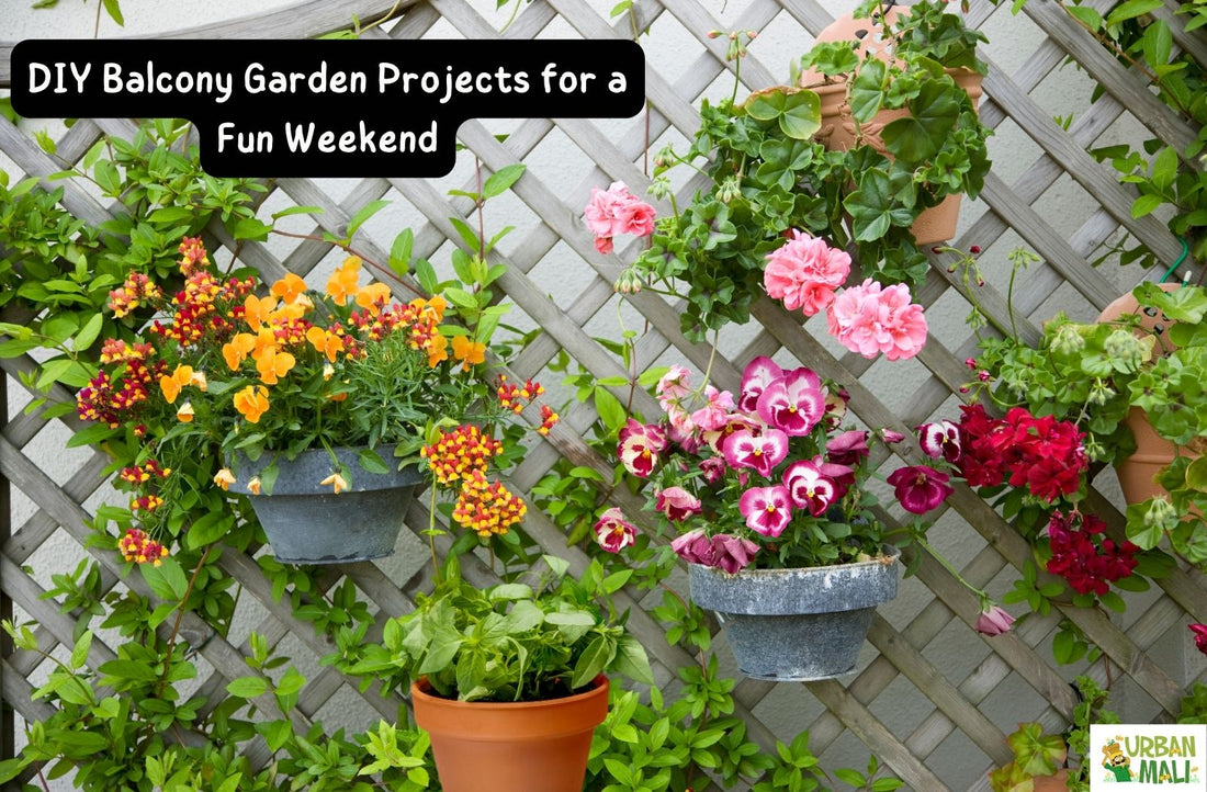DIY Balcony Garden Projects for a Fun Weekend