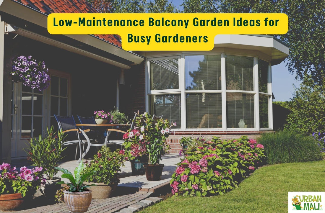 Low-Maintenance Balcony Garden Ideas for Busy Gardeners