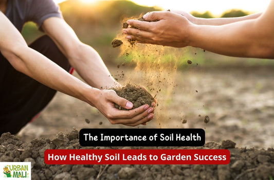 The Importance of Soil Health: How Healthy Soil Leads to Garden Success