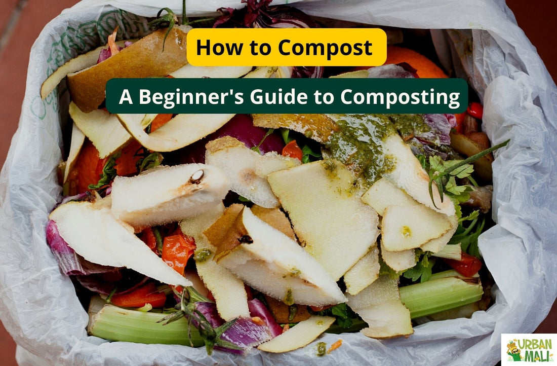 How to Compost: A Beginner's Guide to Composting