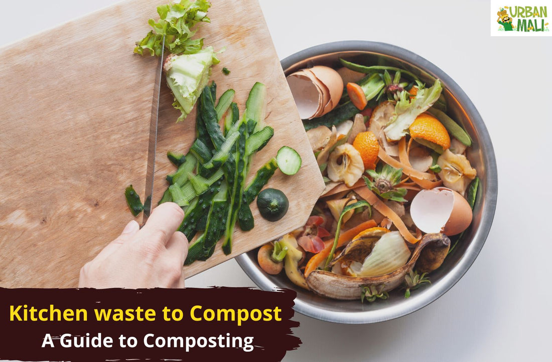 Kitchen waste to Compost: A Guide to Composting