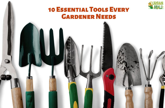 10 Essential Tools Every Gardener Needs