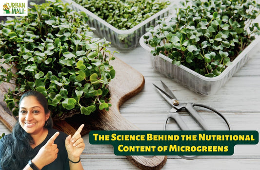 The Science Behind the Nutritional Content of Microgreens