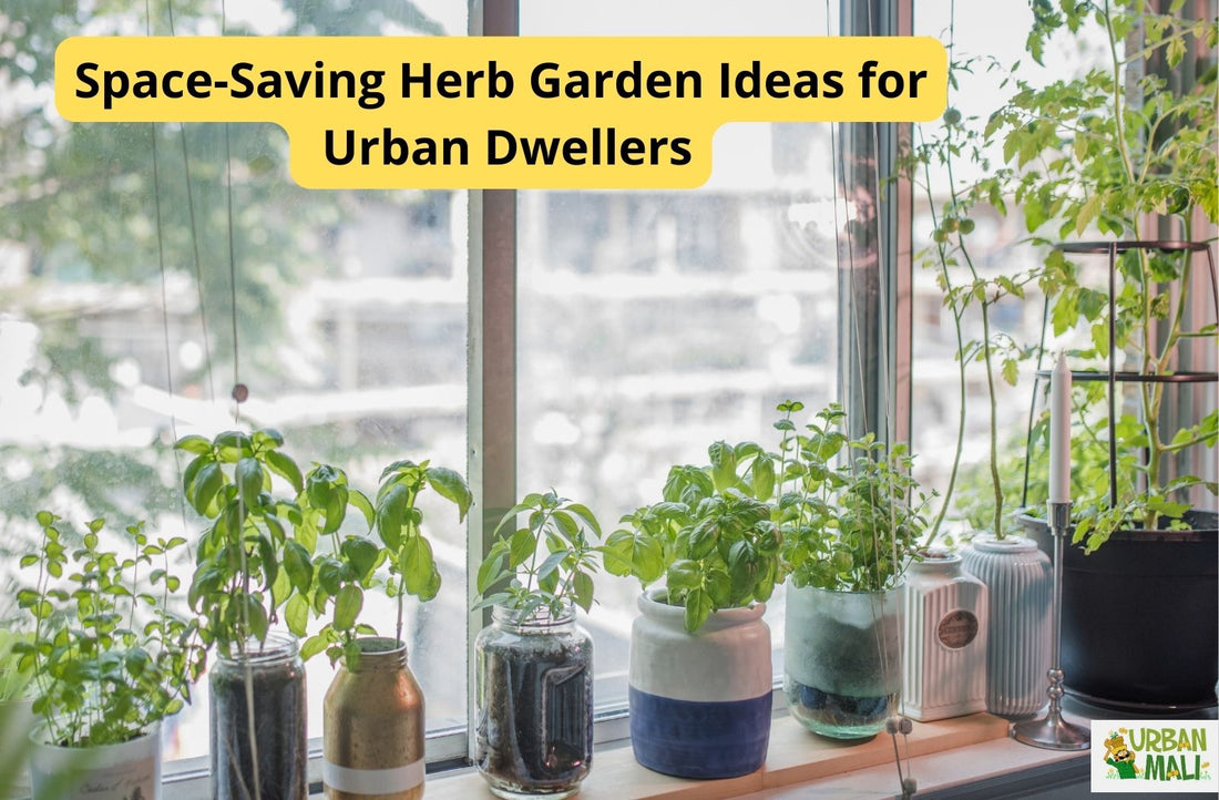 Space-Saving Herb Garden Ideas for Urban Dwellers