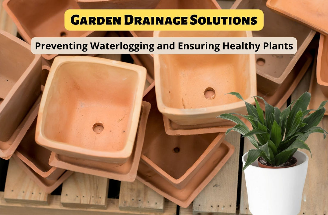 Garden Drainage Solutions: Preventing Waterlogging and Ensuring Healthy Plants