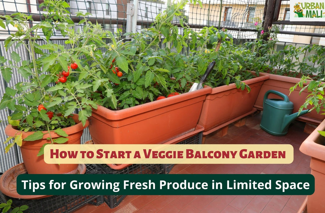 How to Start a Veggie Balcony Garden: Tips for Growing Fresh Produce in Limited Space