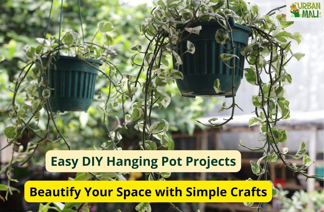 Easy DIY Hanging Pot Projects: Beautify Your Space with Simple Crafts