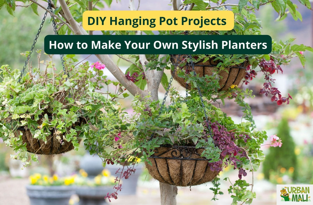 DIY Hanging Pot Projects: How to Make Your Own Stylish Planters