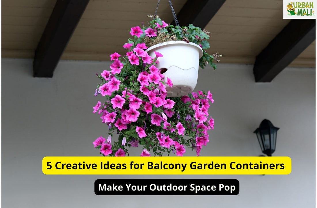 5 Creative Ideas for Balcony Garden Containers: Make Your Outdoor Space Pop