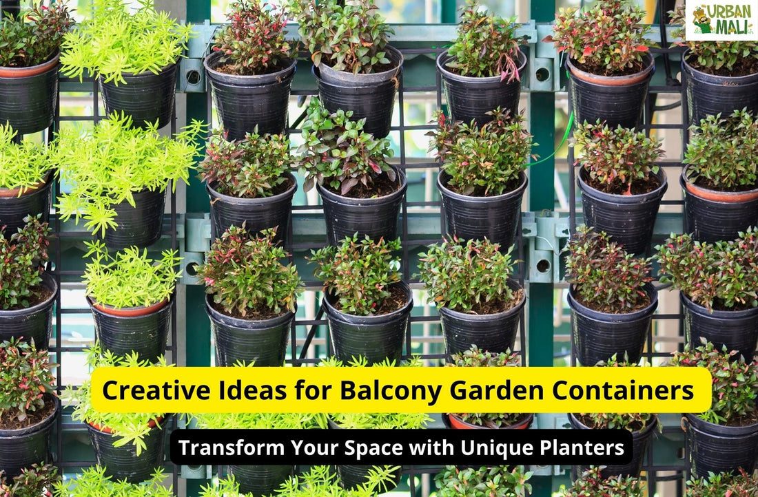 Creative Ideas for Balcony Garden Containers: Transform Your Space with Unique Planters