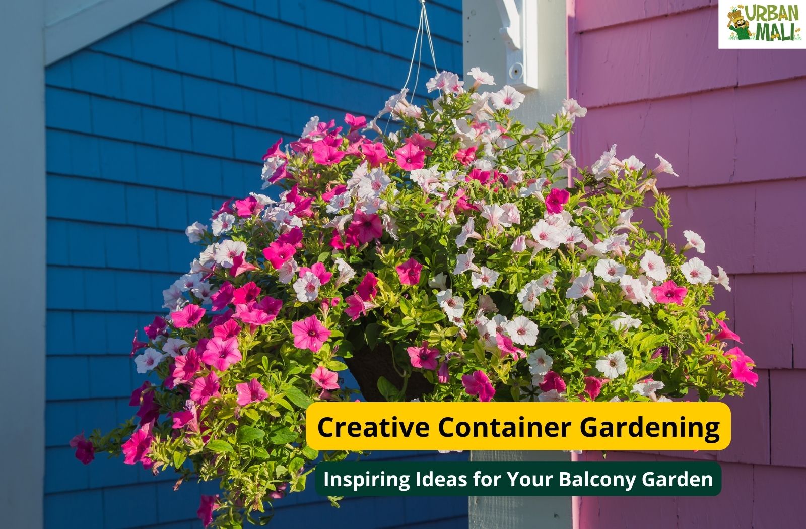 Creative Container Gardening: Inspiring Ideas for Your Balcony Garden