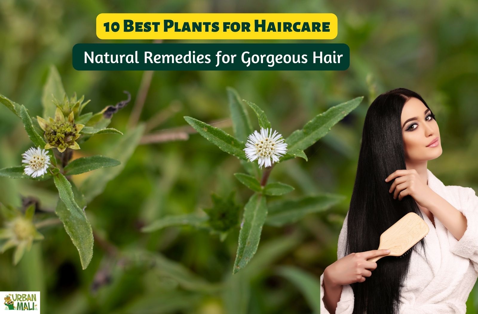 10 Best Plants for Haircare: Natural Remedies for Gorgeous Hair