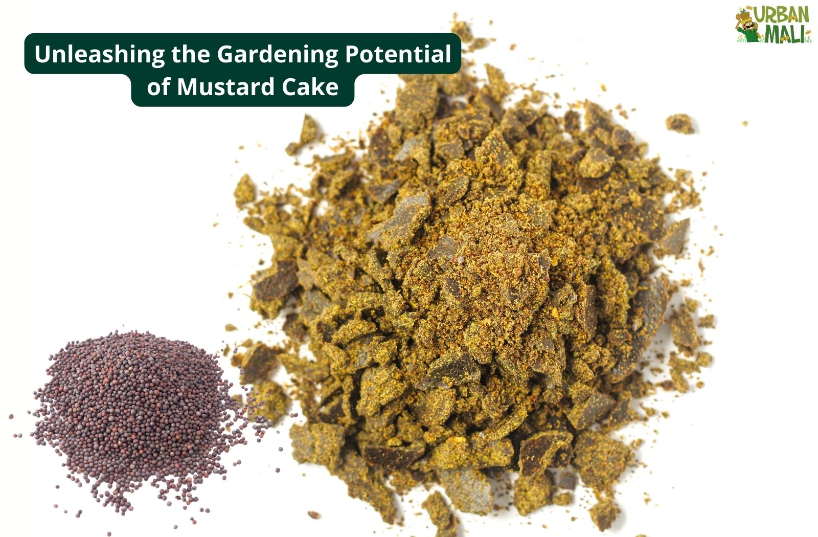 Unleashing the Gardening Potential of Mustard Cake: A Natural Marvel for Plant Prosperity