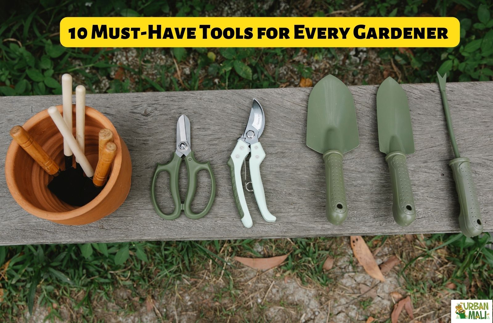10 Must-Have Tools for Every Gardener: Essential Gardening Gear and Their Uses