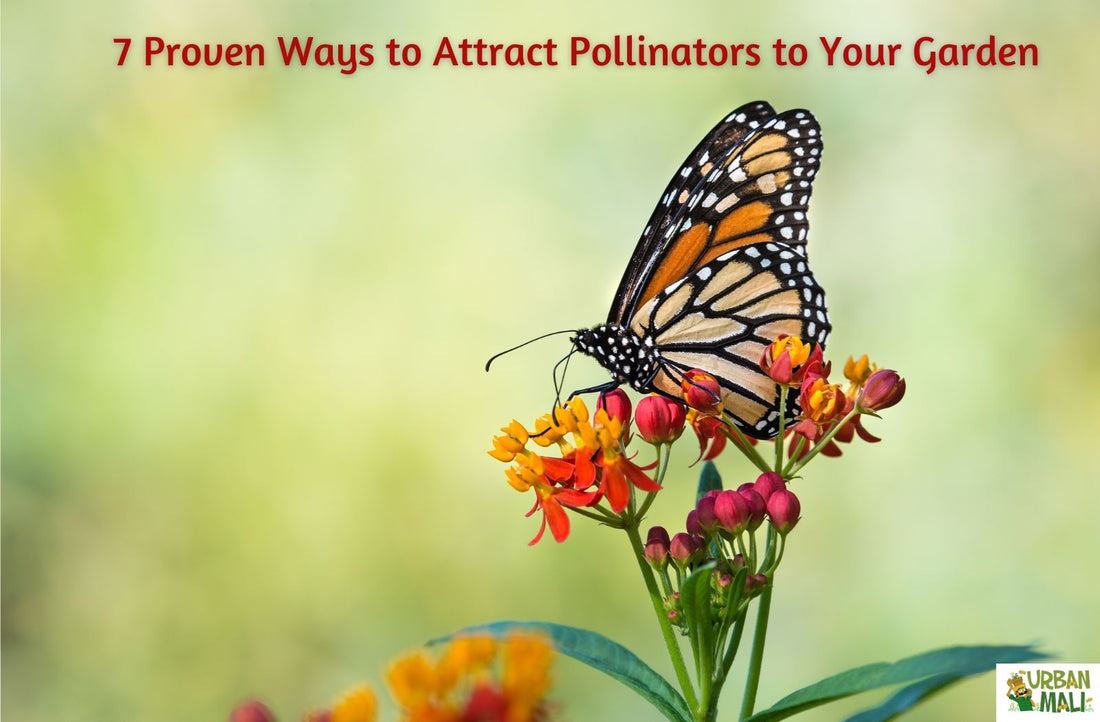 7 Proven Ways to Attract Pollinators to Your Garden