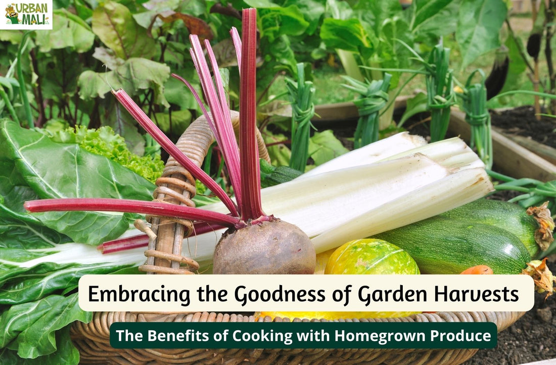 Embracing the Goodness of Garden Harvests: The Benefits of Cooking with Homegrown Produce