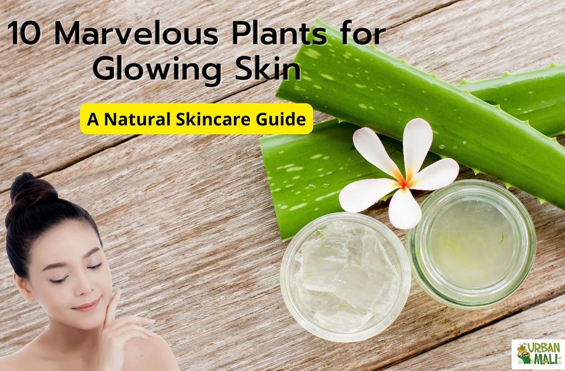 10 Marvelous Plants for Glowing Skin: A Natural Skincare Guide