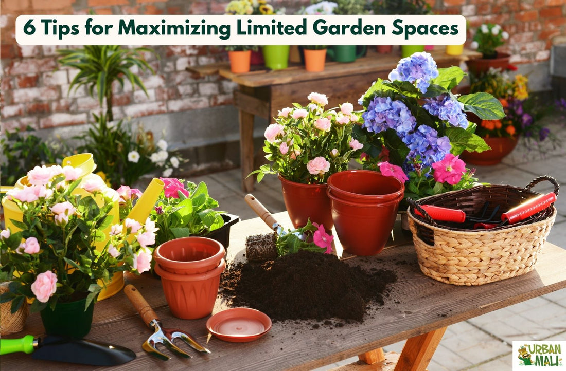 6 Tips for Maximizing Limited Garden Spaces