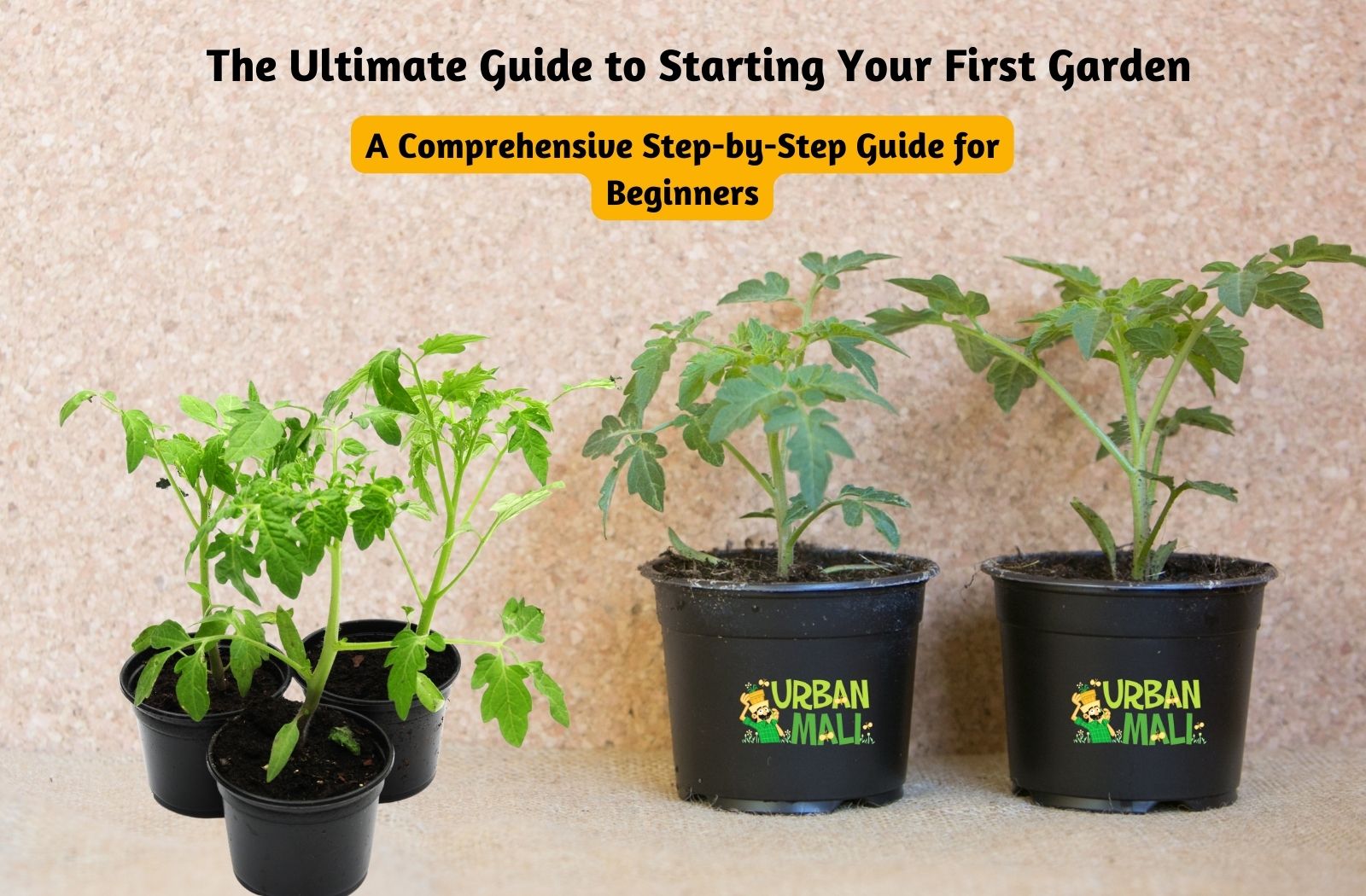 The Ultimate Guide to Starting Your First Garden: A Comprehensive Step-by-Step Guide for Beginners
