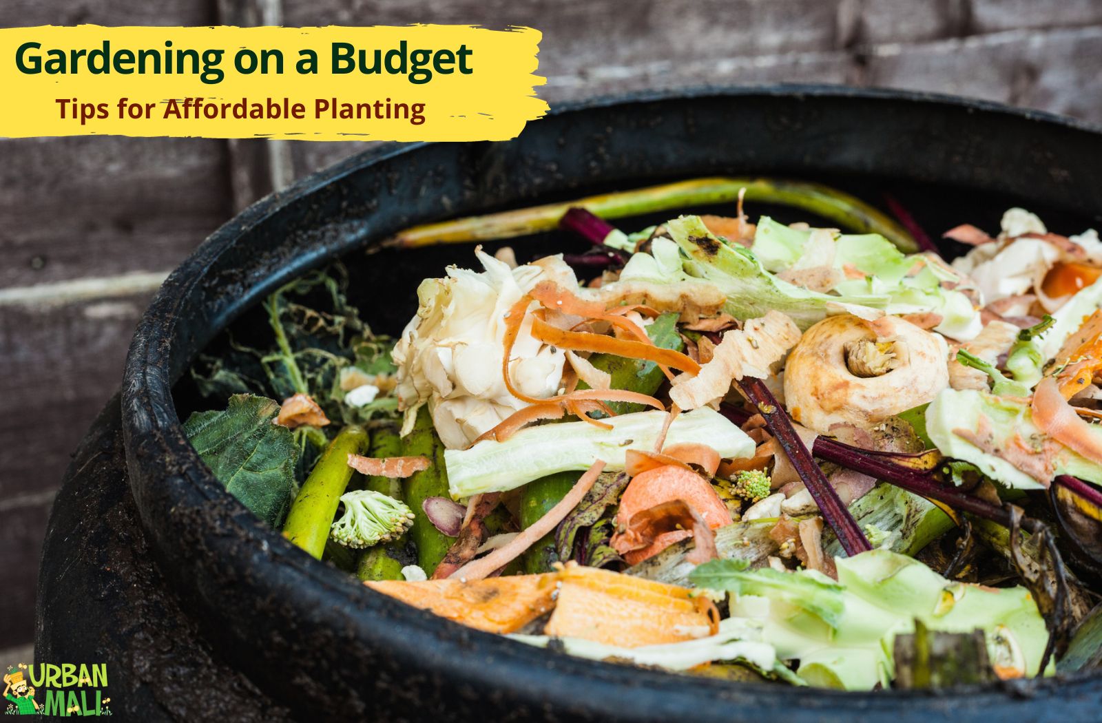 Gardening on a Budget: Tips for Affordable Planting