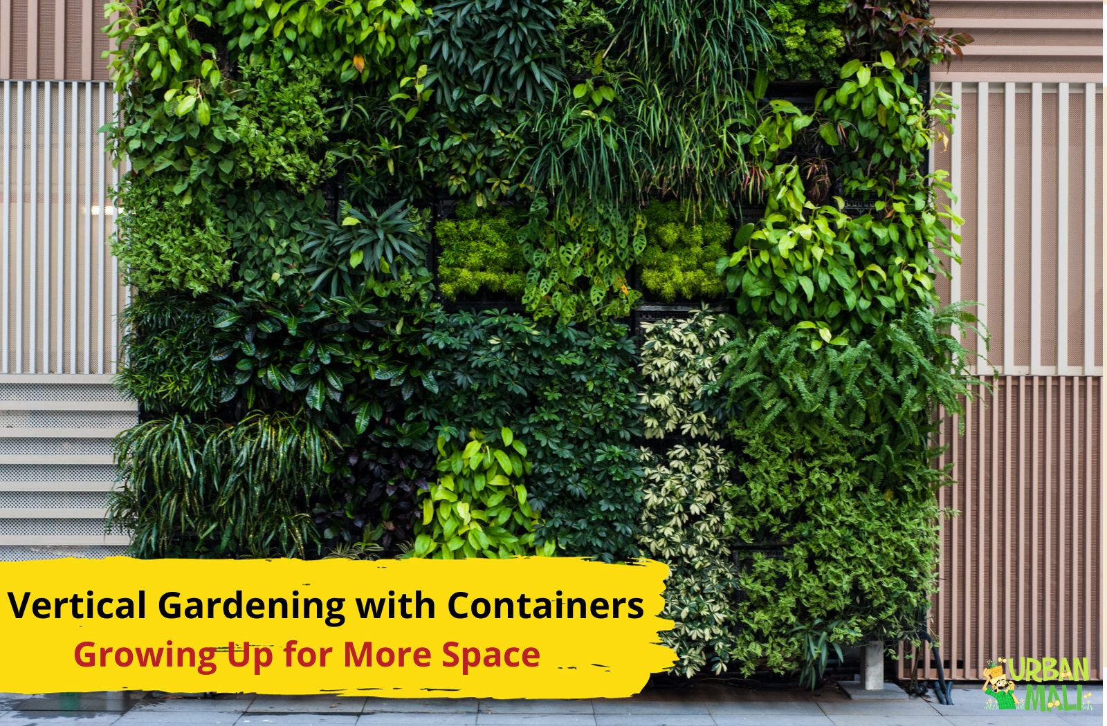 Vertical Gardening with Containers: Growing Up for More Space