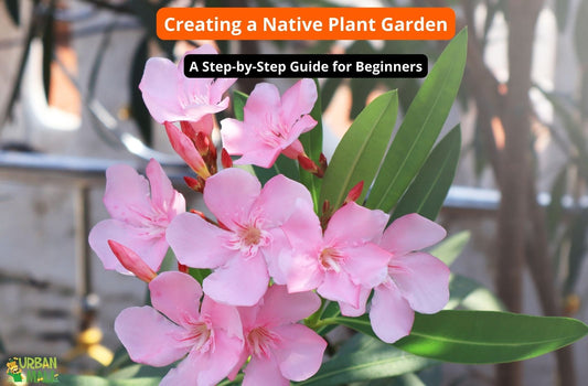 Creating a Native Plant Garden: A Step-by-Step Guide for Beginners
