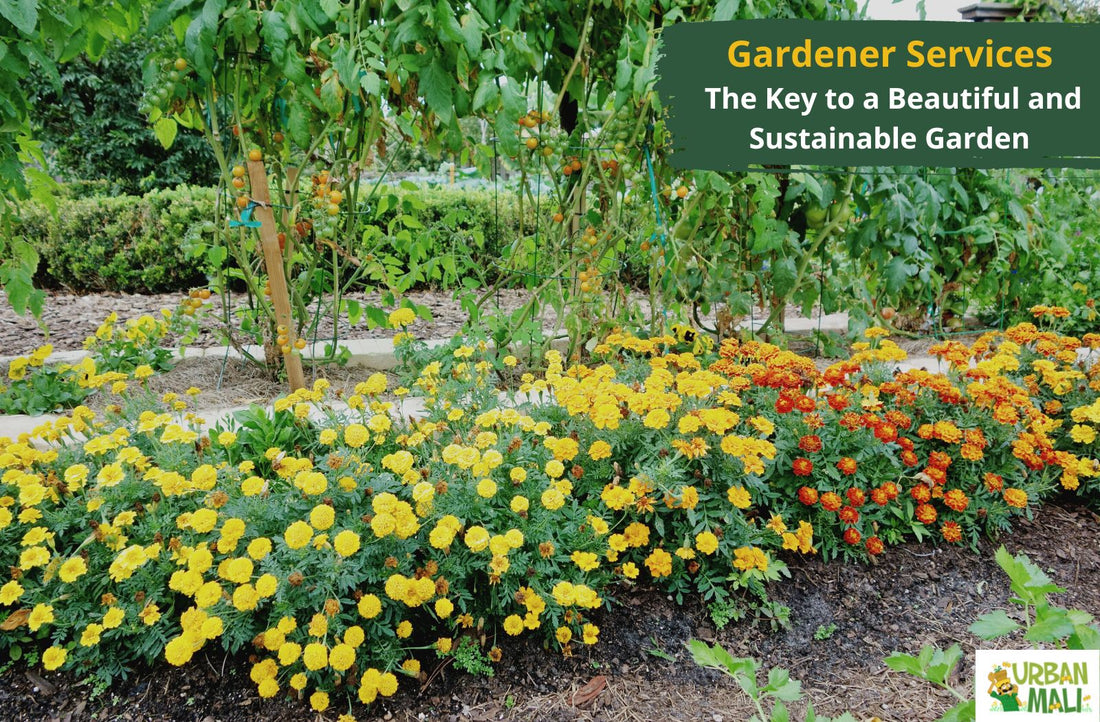Gardener Services: The Key to a Beautiful and Sustainable Garden