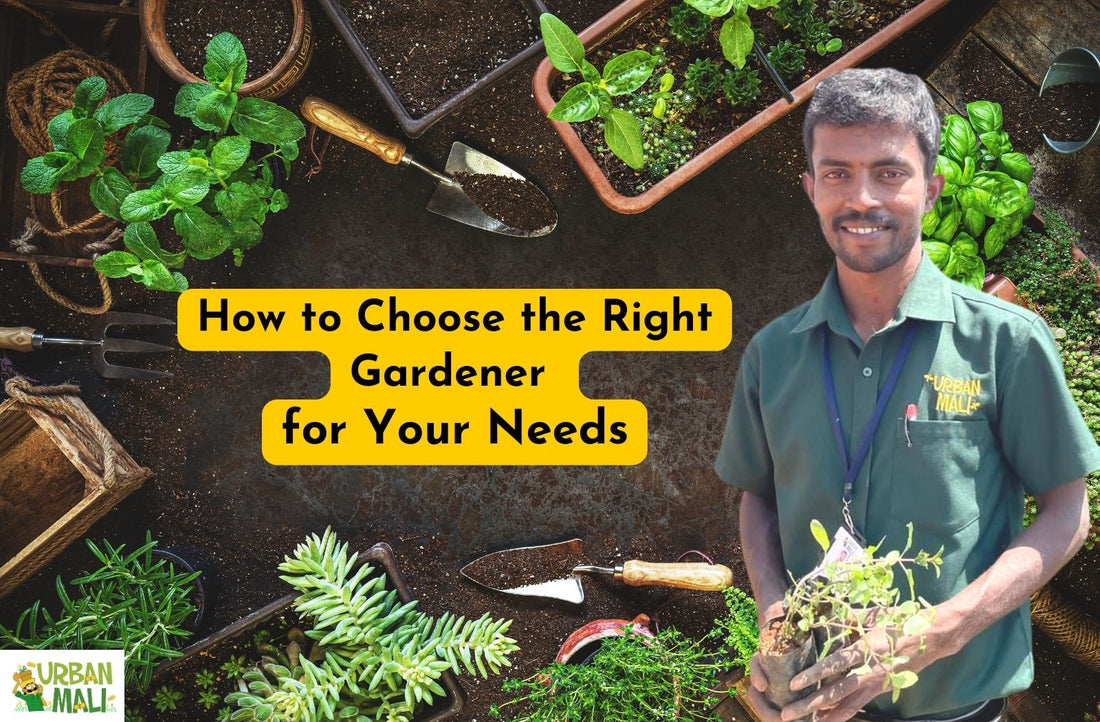 How to Choose the Right Gardener for Your Needs