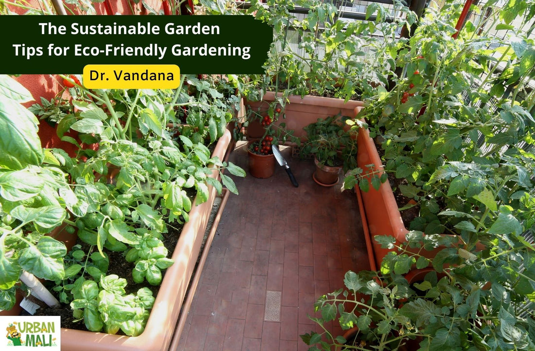 The Sustainable Garden- Tips for Eco-Friendly Gardening